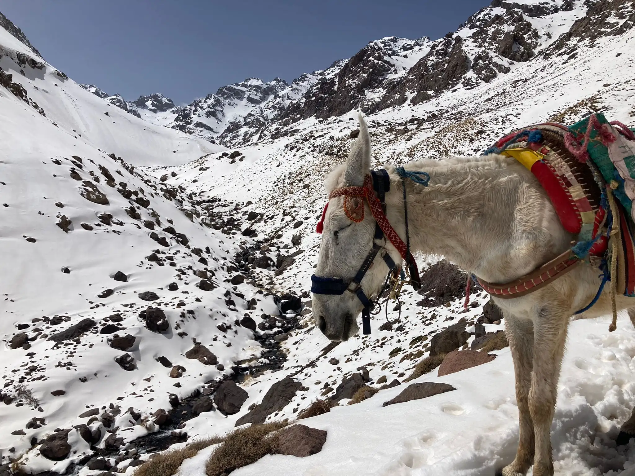 High Atlas Trekking